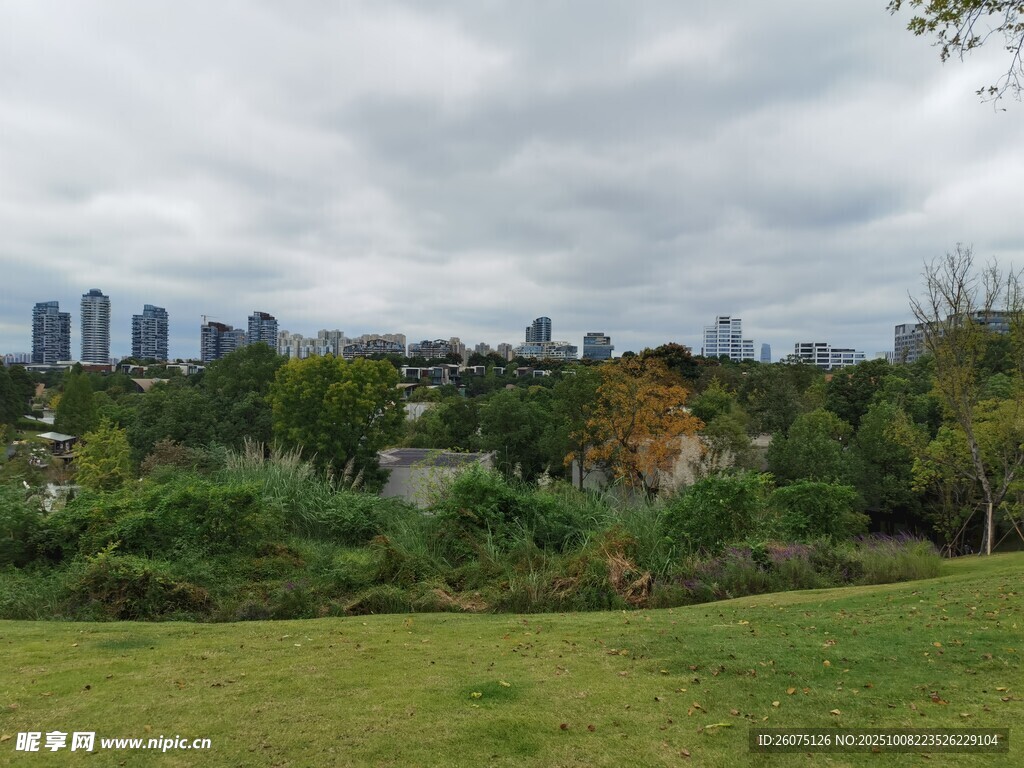 城市邊的綠意盎然公園景