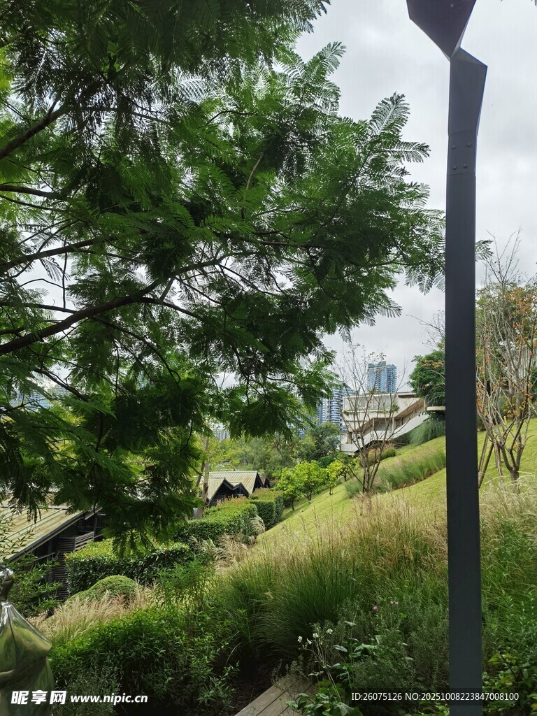 戶外綠意盎然的自然景致