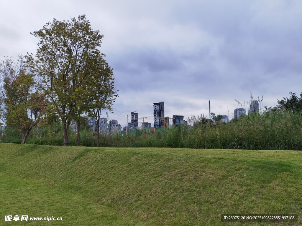 城市邊的草地與樹木景觀