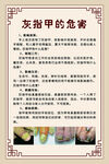 灰指甲的危害介紹