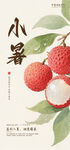 小暑節(jié)氣海報