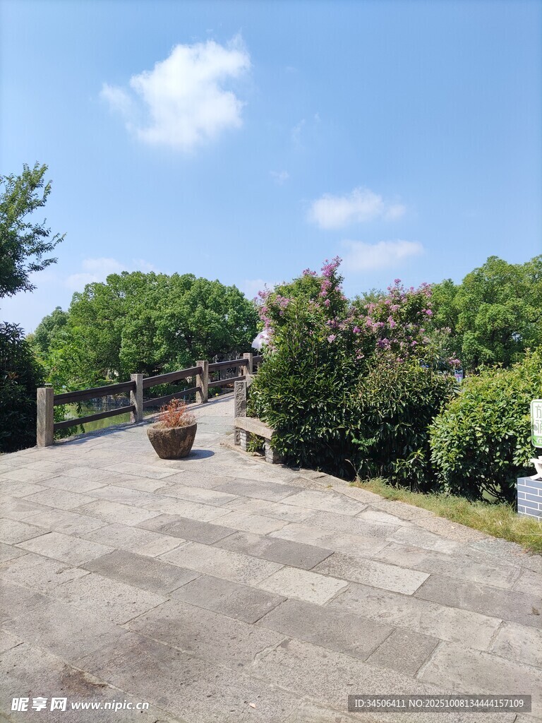 沈蕩公園7