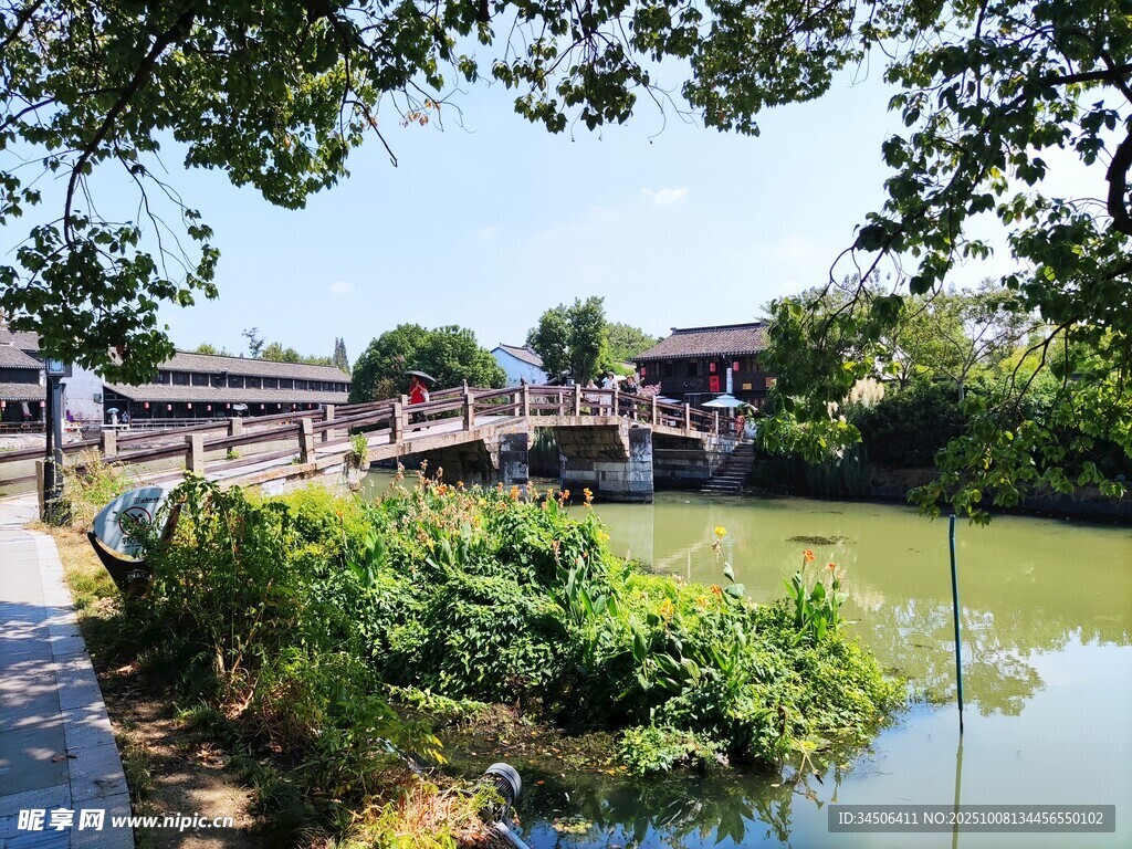 沈蕩6