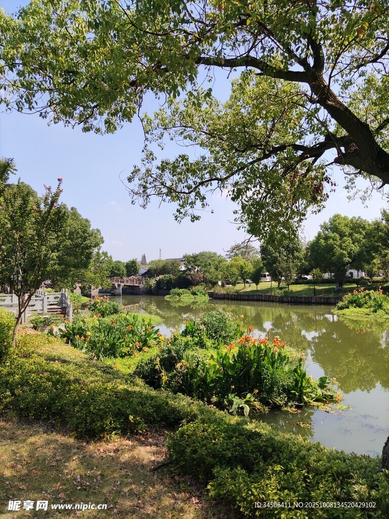 沈蕩公園1