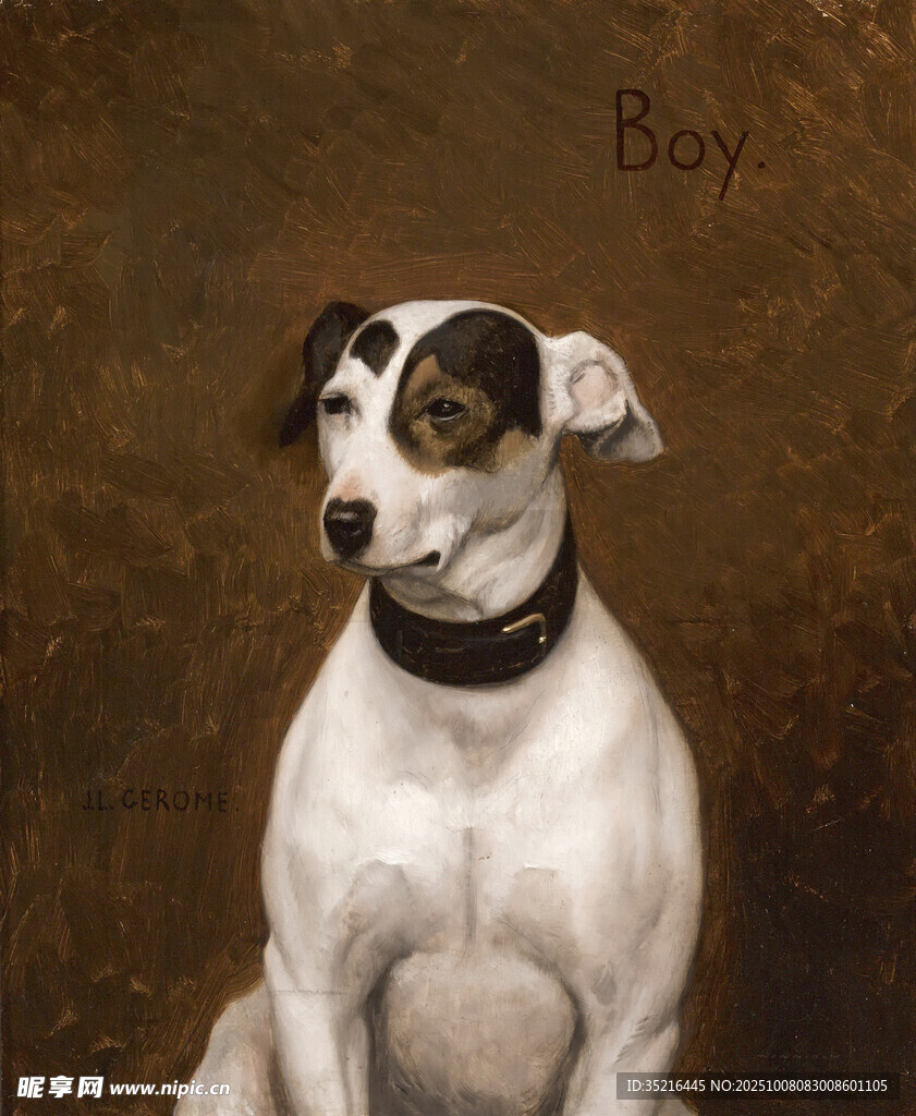 可愛斑點犬Boy