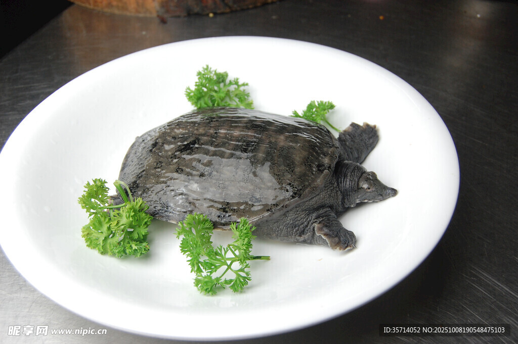 盤中黑甲魚配翠綠香草
