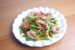 青椒炒肉絲擺放在白盤上