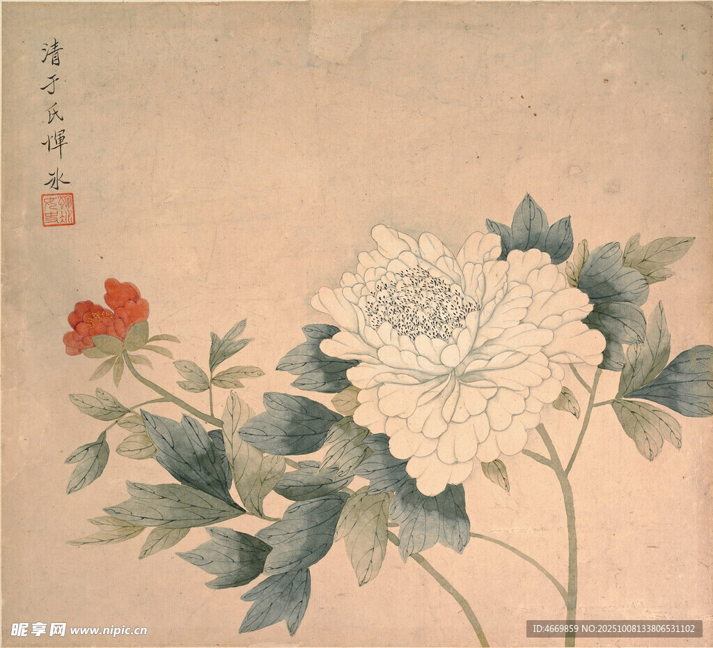 工筆牡丹花卉圖