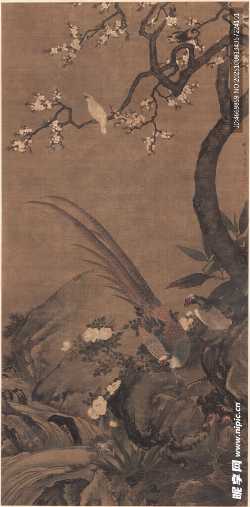 古畫(huà)花鳥(niǎo)圖
