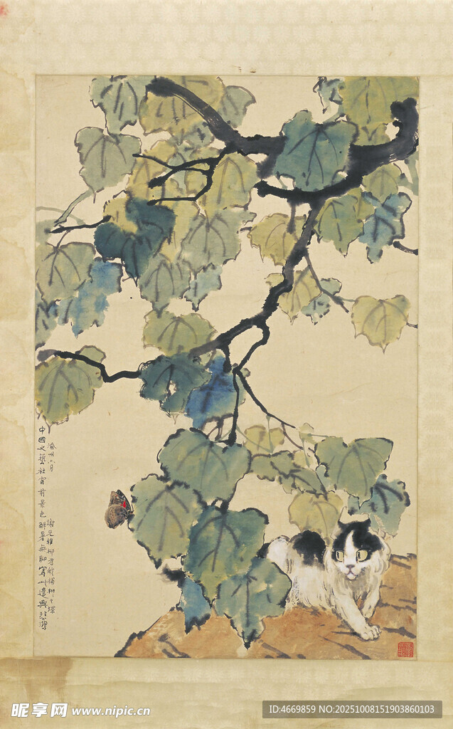枝頭貓咪圖