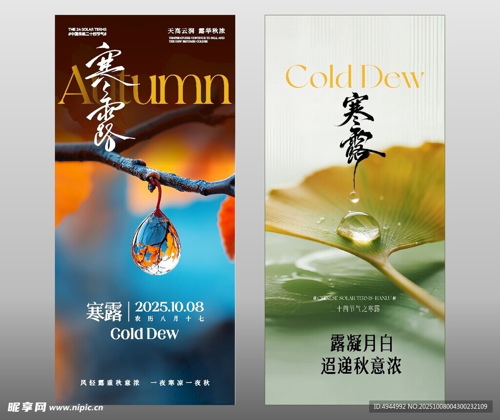 寒露節(jié)海報