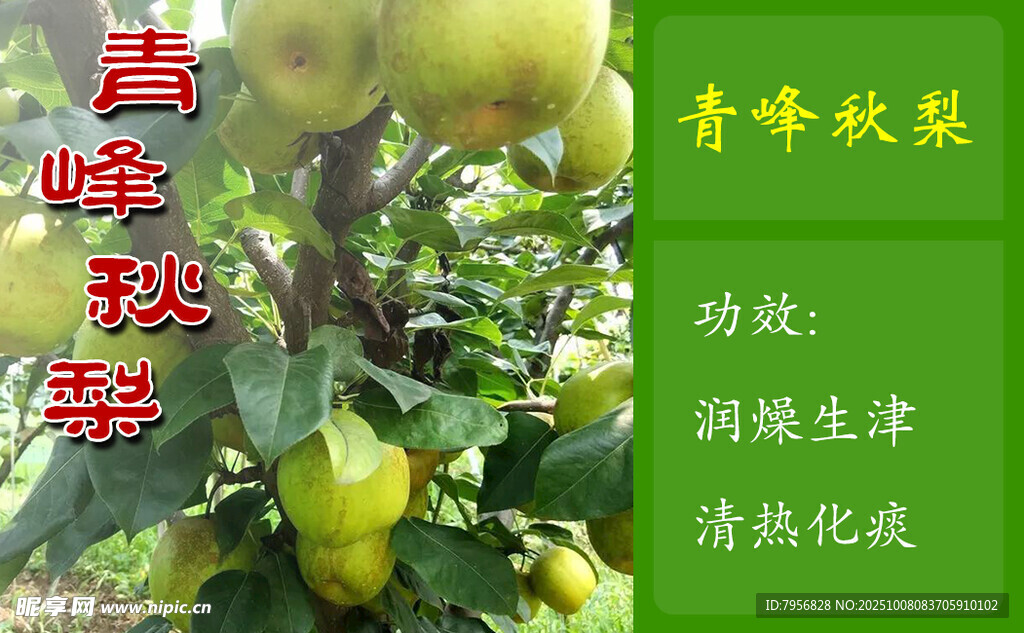 水果標(biāo)簽