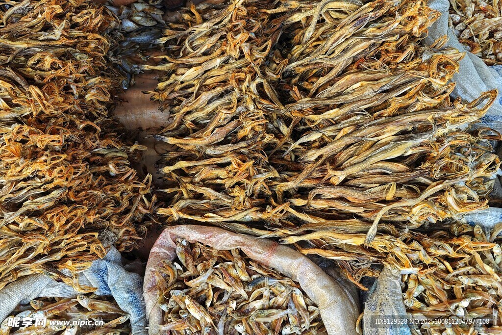 晾曬中的魚干干貨