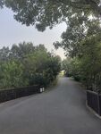 林間幽靜小路