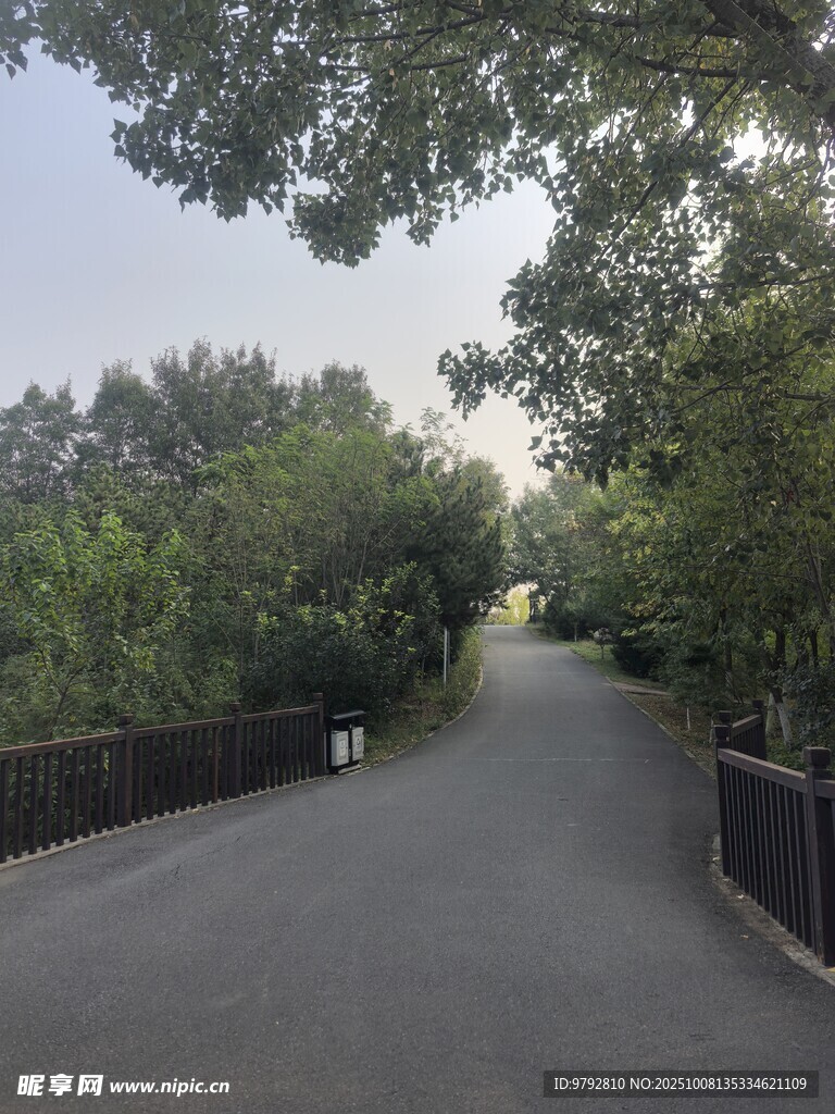 林間幽靜小路