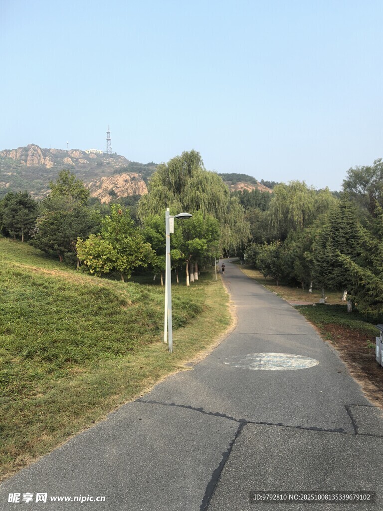 蜿蜒小路旁的自然景致