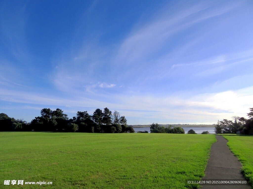 綠野小徑旁的藍天美景