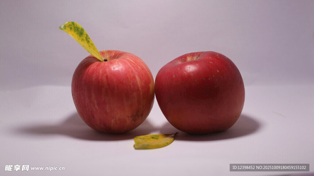 兩個(gè)紅蘋(píng)果與一片黃葉