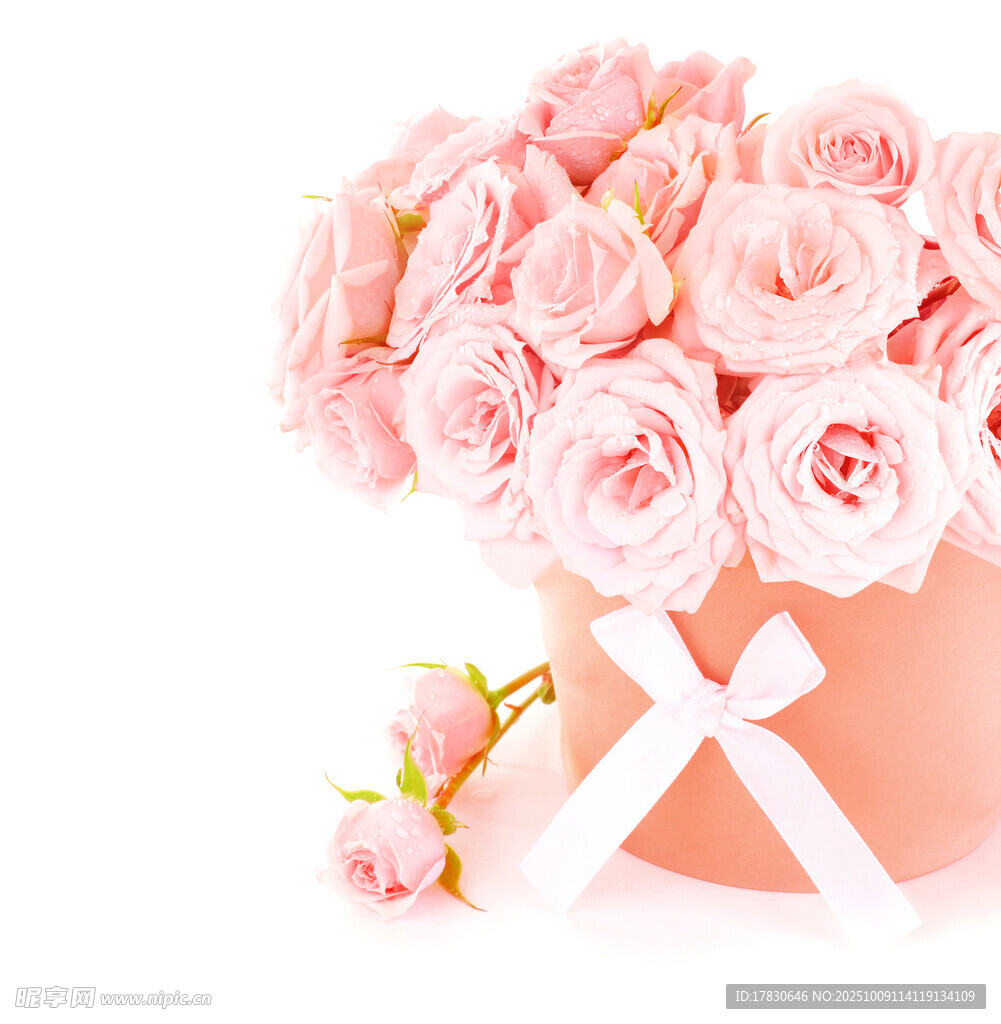 玫瑰花