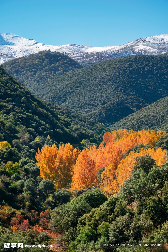 秋日山林美景