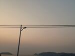 黃昏線
