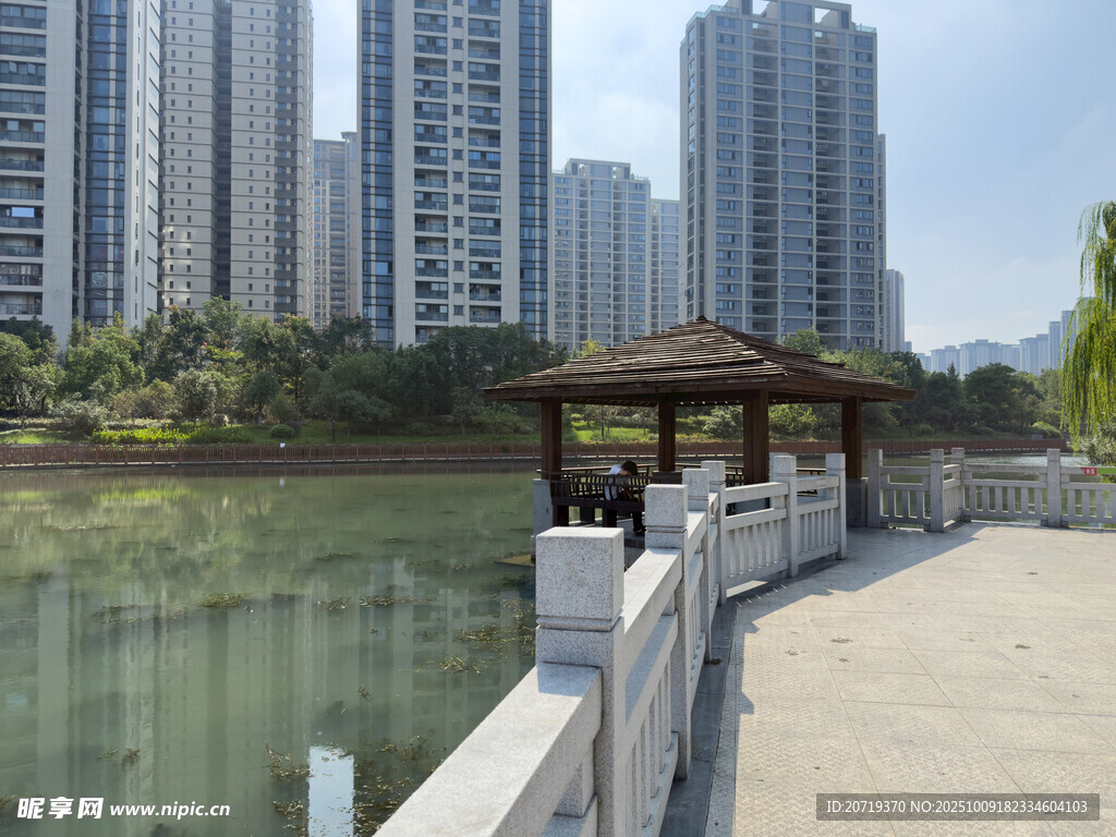 湖畔涼亭旁的城市高樓景觀