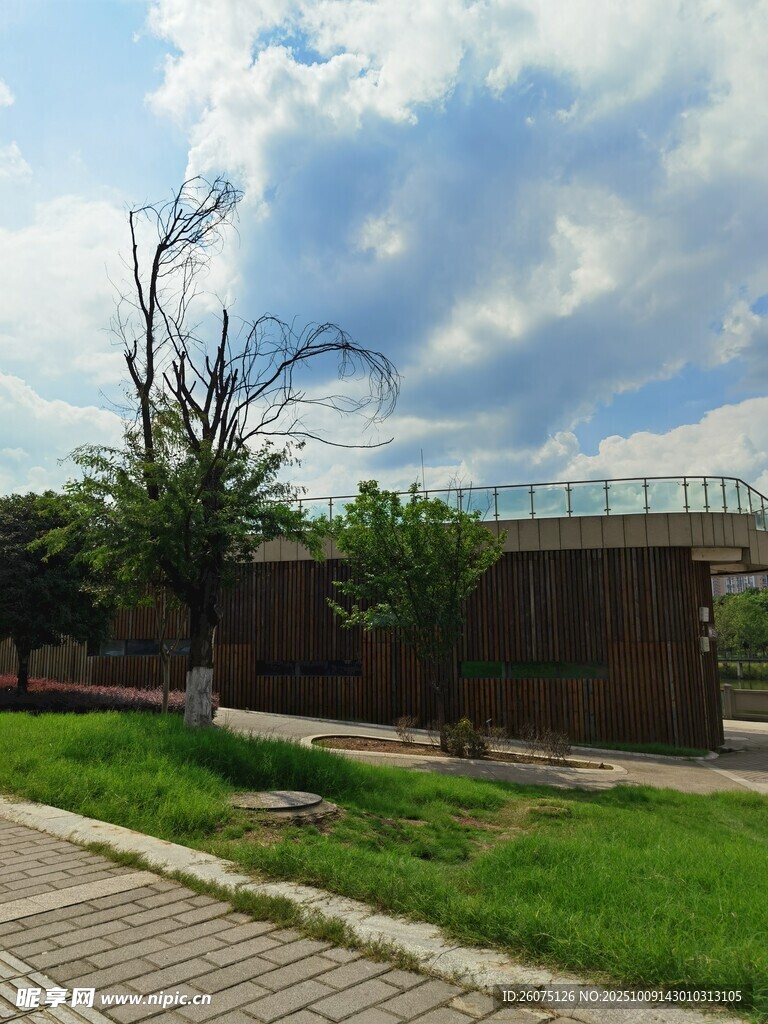 戶外草地旁的建筑景觀