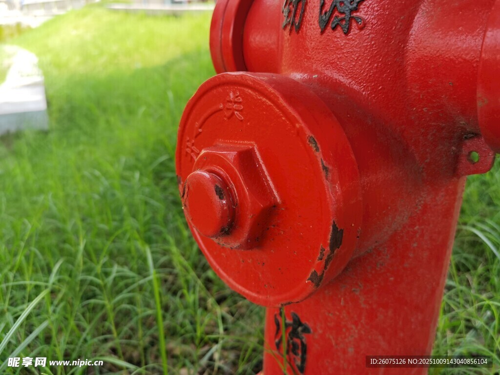 草地上的紅色消防栓