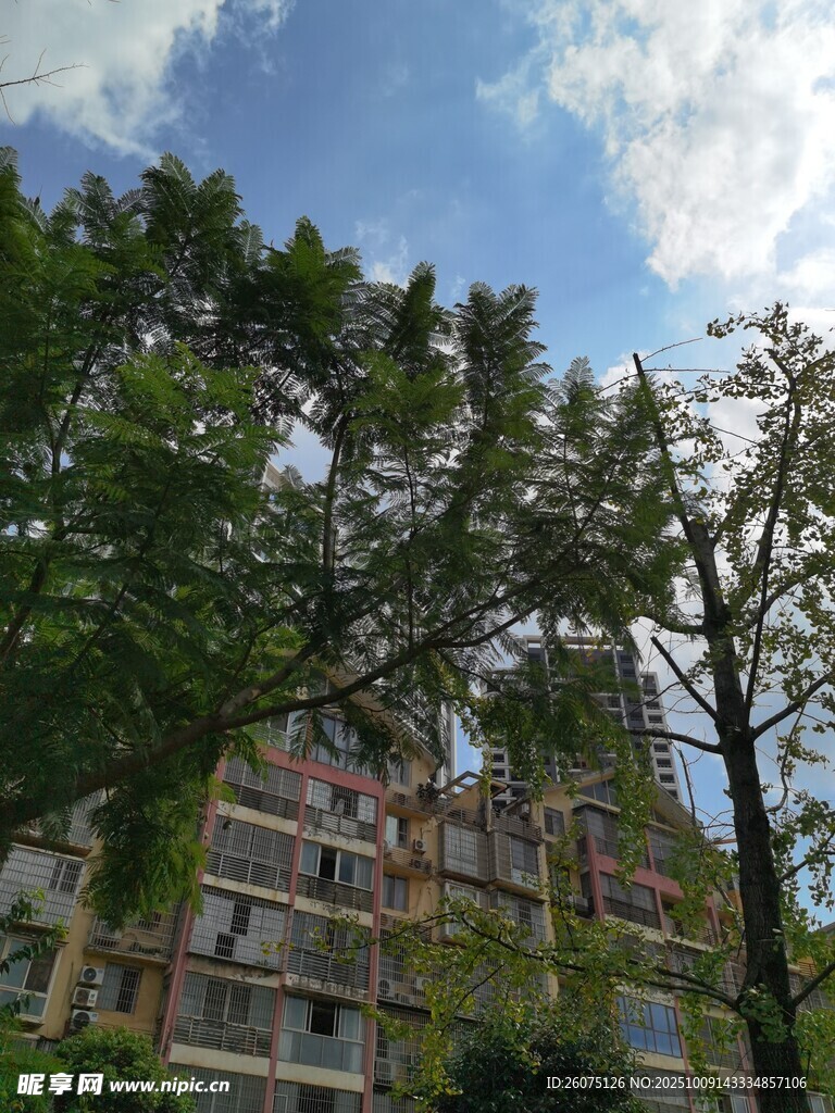 綠樹(shù)掩映下的居民樓