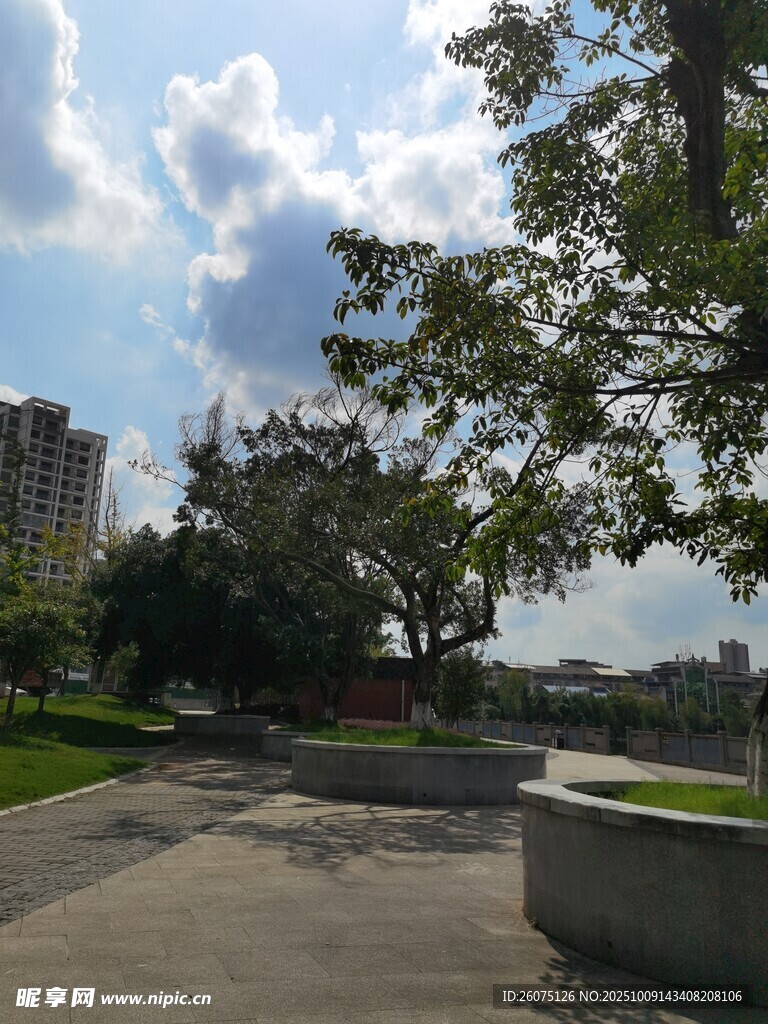 城市公園中的開闊休閑場景