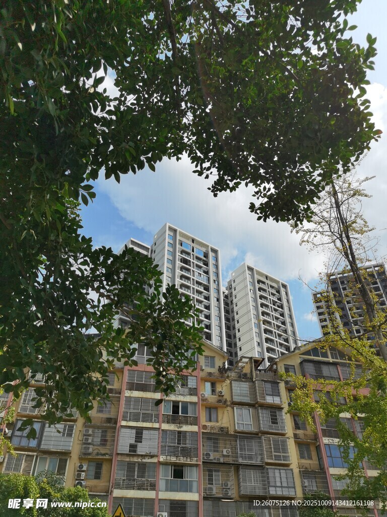 綠樹掩映下的城市高樓