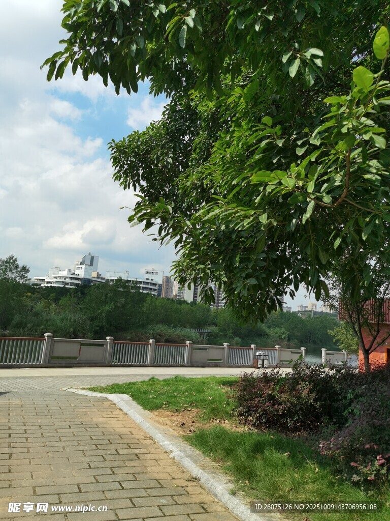 綠樹環(huán)繞的寧靜小路