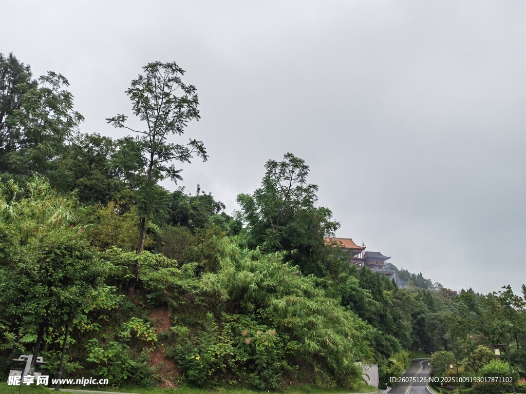 山林綠意景觀