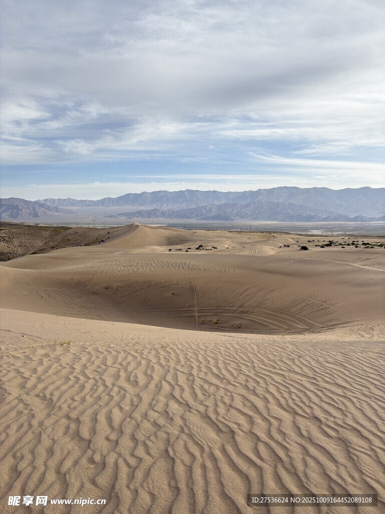 廣袤沙漠景觀