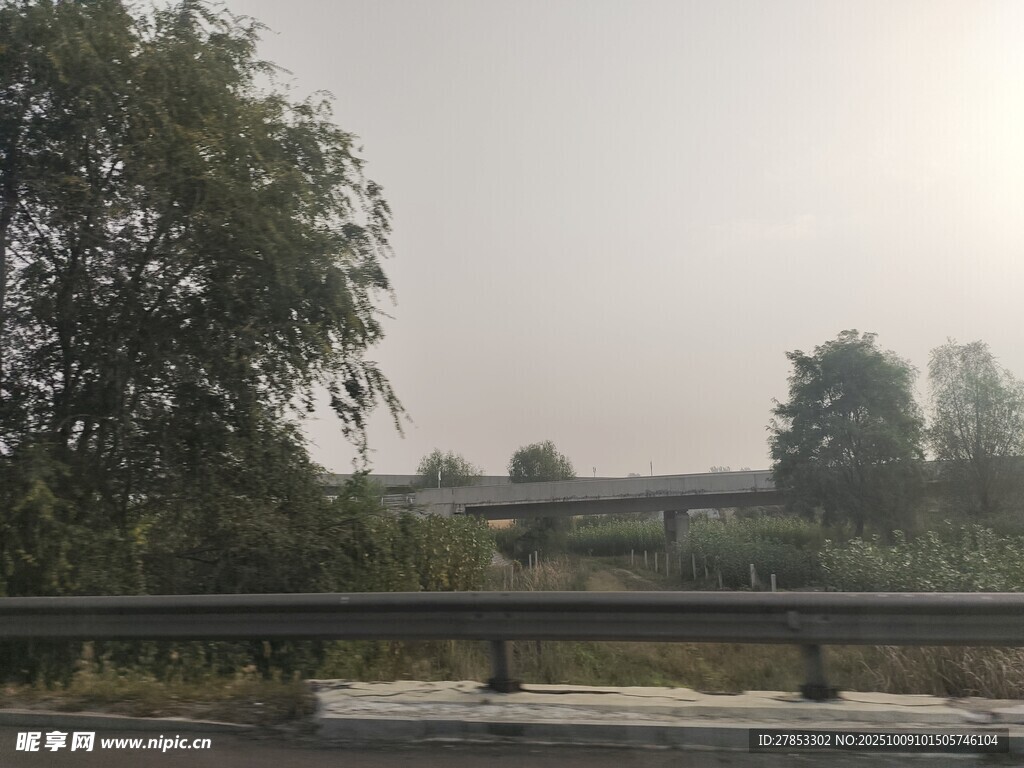 公路旁的樹木與朦朧遠(yuǎn)景