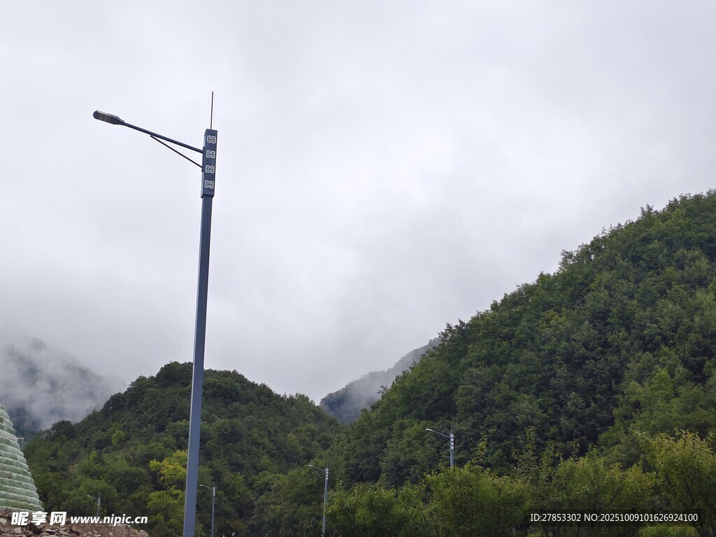 山間路燈伴蔥郁山林