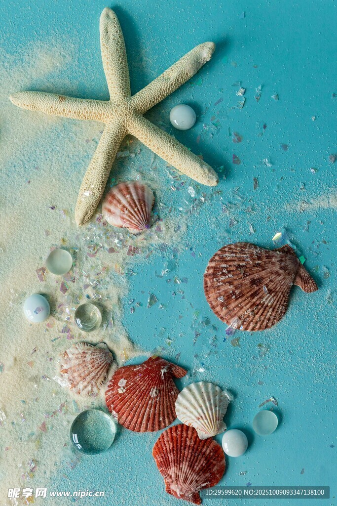 海邊貝殼海星唯美小景