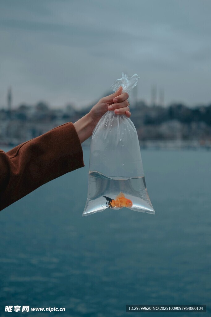 手拎袋中金魚與海景