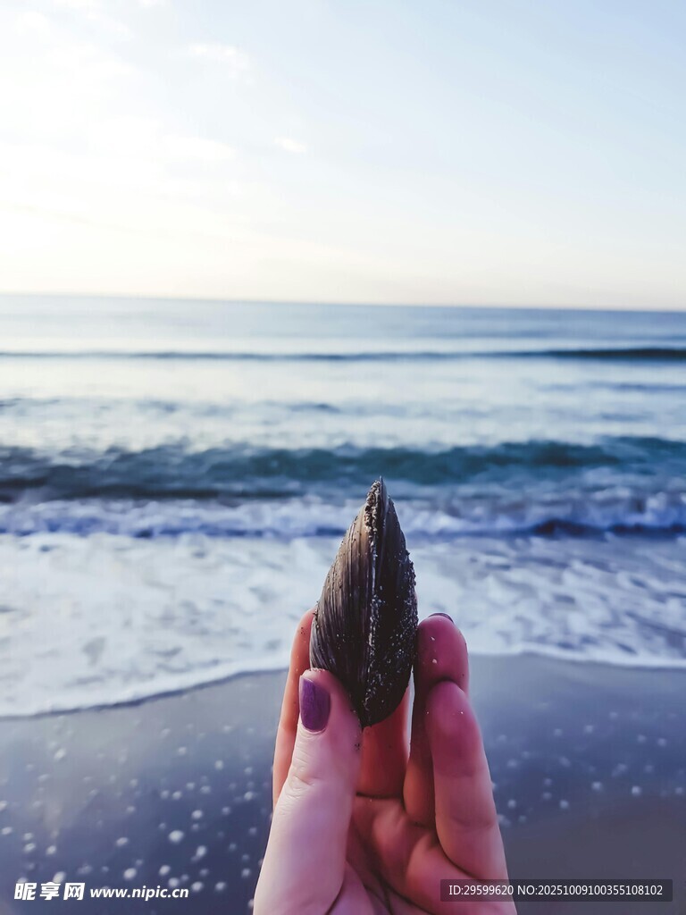 海邊手持貝殼的美好瞬間