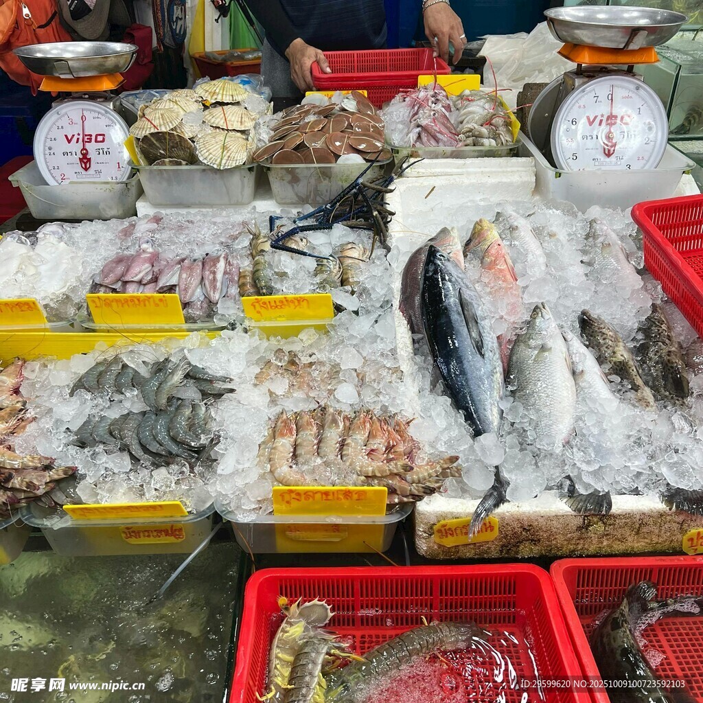 海鮮攤位展示多樣海產(chǎn)