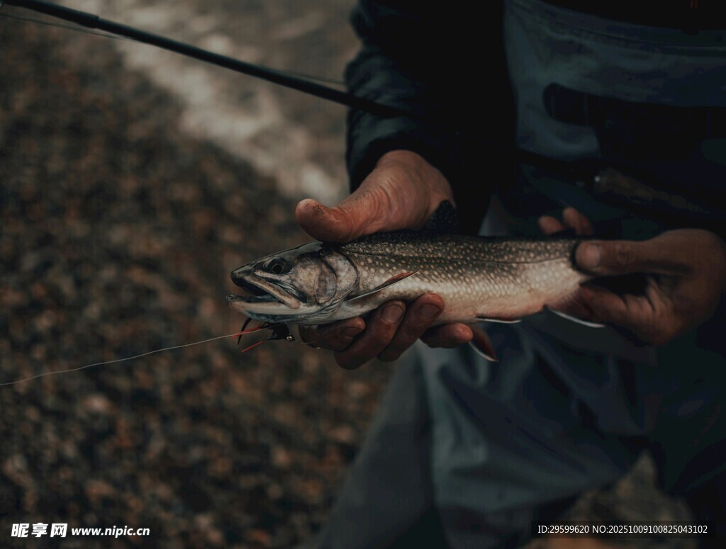 手持鮮魚的釣魚者
