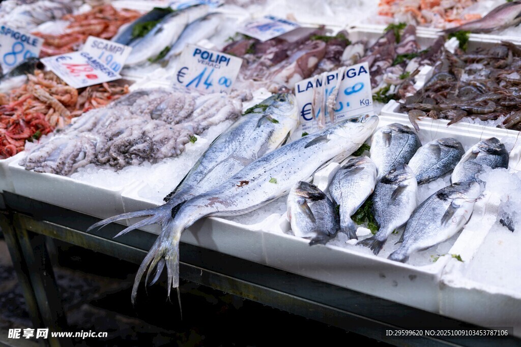 海鮮市場的多樣鮮魚