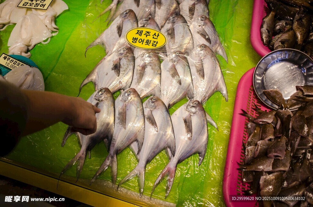 市場中售賣的新鮮小魚