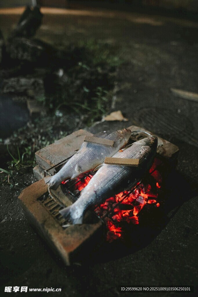 戶外篝火上烤著鮮魚