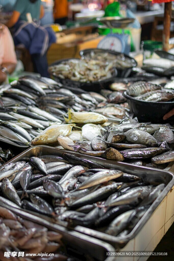 海鮮市場(chǎng)的多樣魚(yú)類(lèi)展示