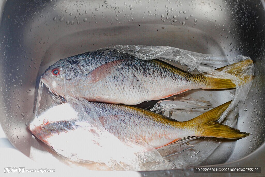 水槽中的新鮮海魚(yú)