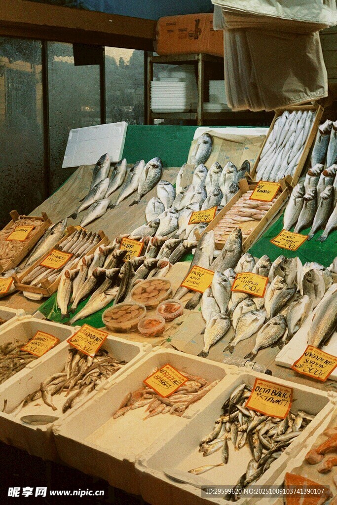 海鮮市場(chǎng)豐富多樣的鮮魚(yú)
