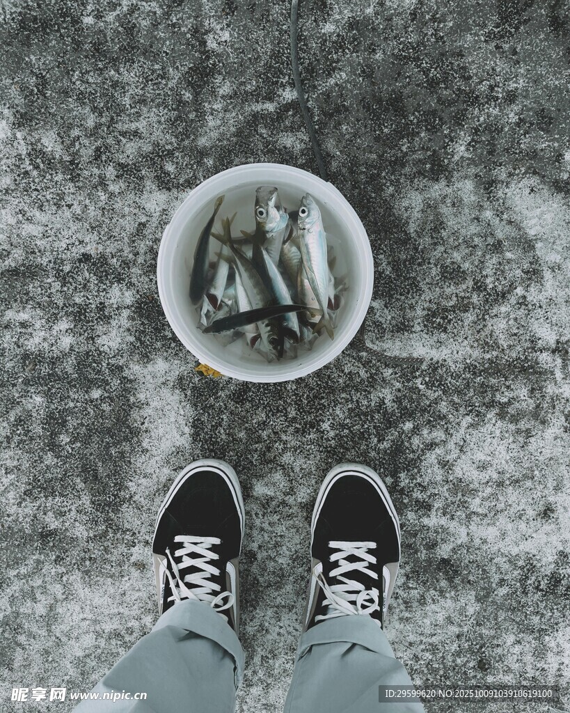 腳下的盆栽與休閑鞋