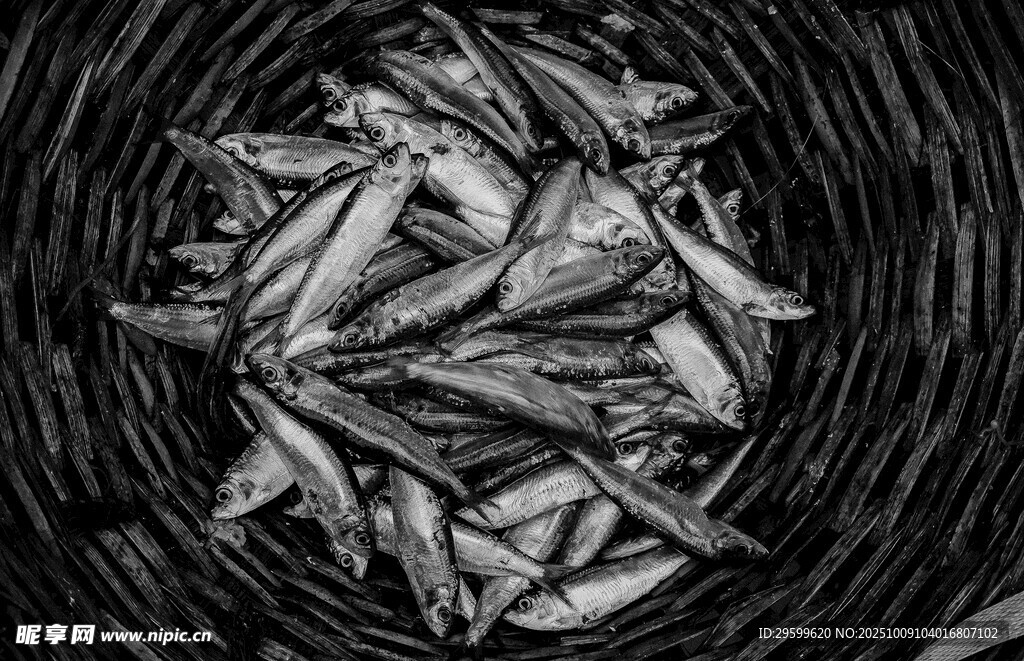 竹籃內(nèi)的鮮魚(yú)