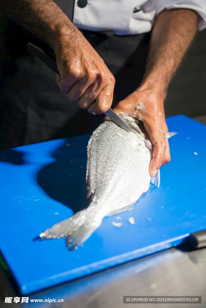 廚師切魚于藍(lán)色案板上